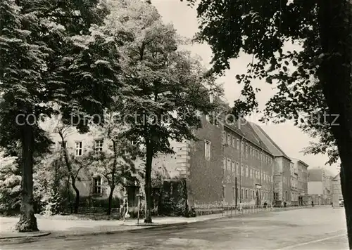 AK / Ansichtskarte Wittenberg_Lutherstadt Augusteum Wittenberg_Lutherstadt