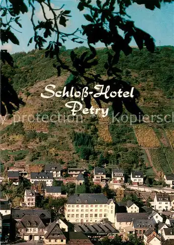 AK / Ansichtskarte Treis Karden Schloss Hotel Petry Treis Karden