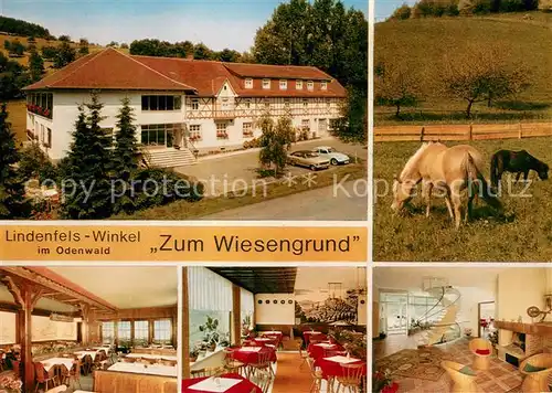 AK / Ansichtskarte Winkel_Lindenfels Restaurant Cafe und Pension Zum Wiesengrund Gastraeume Pferdekoppel Winkel Lindenfels