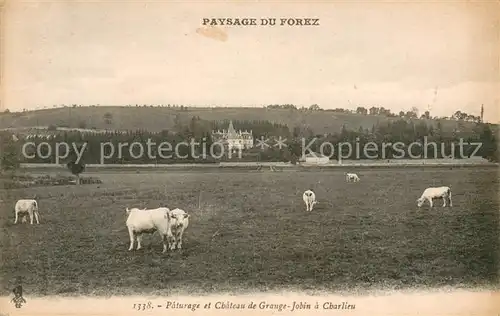 AK / Ansichtskarte Charlieu Paturage et Chateau de Grange Jobin Charlieu