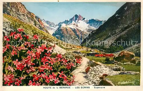 AK / Ansichtskarte Les_Ecrins Route de la Berarde Saponaire Les_Ecrins