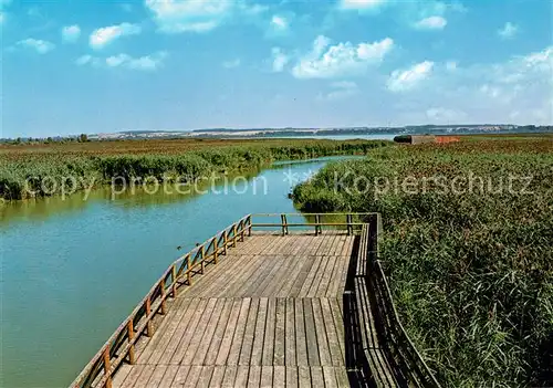 AK / Ansichtskarte Bad_Buchau_Federsee Federseemuseum Bad_Buchau_Federsee