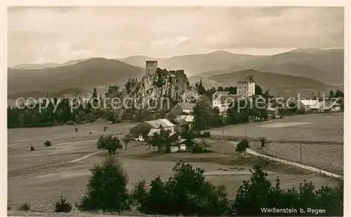 AK / Ansichtskarte Weissenstein_Regen Panorama Burgruine Bayerischer Wald Weissenstein_Regen