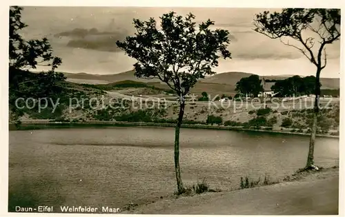 AK / Ansichtskarte Daun_Eifel Panorama Weinfelder Maar Daun_Eifel