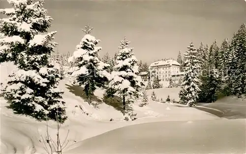 AK / Ansichtskarte Todtnau Waldhotel am Notschrei Todtnau