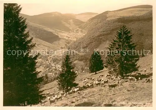 AK / Ansichtskarte Todtnau Panorama Todtnau