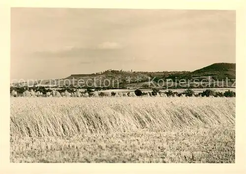 AK / Ansichtskarte Waldenburg_Wuerttemberg Landschaftspanorama Getreidefelder Waldenburg Wuerttemberg