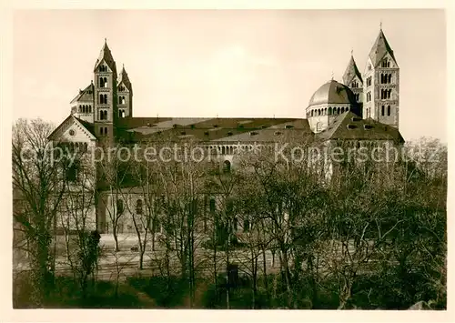 AK / Ansichtskarte Speyer_Rhein Dom Suedseite Speyer Rhein