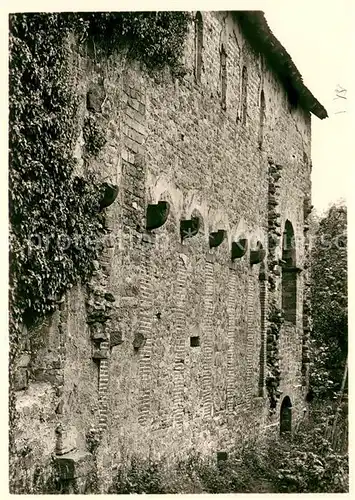 AK / Ansichtskarte Steinbach_Michelstadt Einhardsbasilika Ruine Suedwand mit den zugemauerten Mittelschiffsarkaden Steinbach_Michelstadt