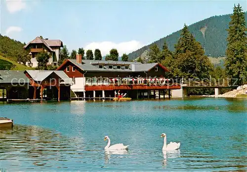 AK / Ansichtskarte Lunz_See_Niederoesterreich Grubmayra Seeterrasse am Lunzersee Lunz_See_Niederoesterreich