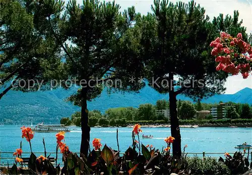 AK / Ansichtskarte Locarno_Lago_Maggiore Seepartie Locarno_Lago_Maggiore