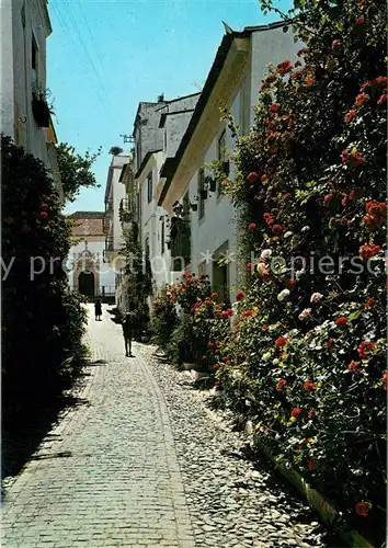 AK / Ansichtskarte Abrantes Rua Florida Abrantes