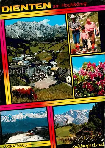 AK / Ansichtskarte Dienten_Hochkoenig Matrashaus Panorama Alpenflora Dienten Hochkoenig