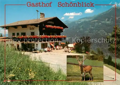 AK / Ansichtskarte Kempten_Allgaeu Gasthof Schoenblick am Riedberg Kempten Allgaeu