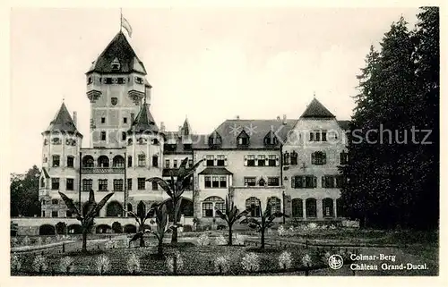 AK / Ansichtskarte Colmar_Berg Chateau Grand Ducal 