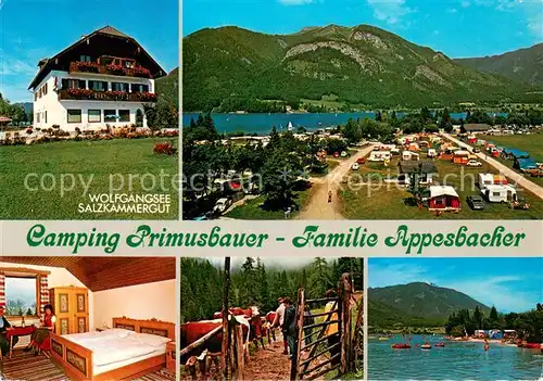 AK / Ansichtskarte Abersee_St_Gilgen_Salzkammergut Camping Primusbauer Campingplatz Zimmer Wolfgangsee Abersee_St