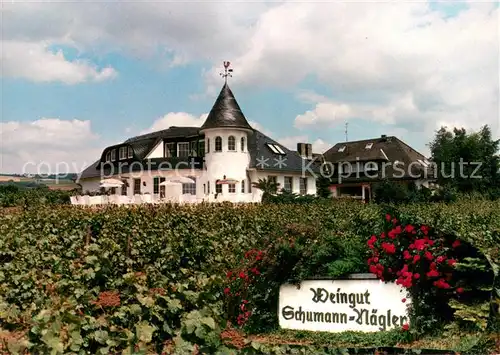 AK / Ansichtskarte Geisenheim Weingut Schumann Naegler Turmschaenke Geisenheim