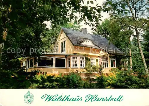 AK / Ansichtskarte Hanstedt_Nordheide Restaurant Cafe Waldhaus Hanstedt_Nordheide