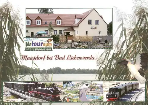 AK / Ansichtskarte Maasdorf_Bad_Liebenwerda Elster Natoureum Restaurant Dampflokomotiven Maasdorf_Bad_Liebenwerda