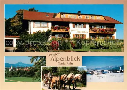 AK / Ansichtskarte Maria_Rain_Allgaeu Pension Alpenblick Pferdewagen Sommer  und Winterpanorama Maria_Rain_Allgaeu