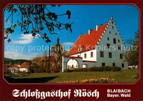 AK / Ansichtskarte Blaibach Schlossgasthof Roesch Bayerischer Wald Blaibach