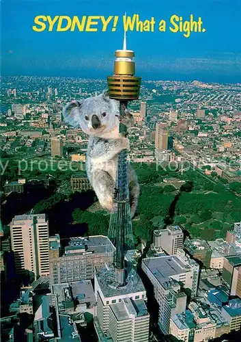 AK / Ansichtskarte Sydney_New_South_Wales Aerial view of Sydney Tower Sydney_New_South_Wales