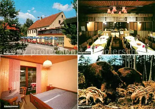 AK / Ansichtskarte Kreuth_Tegernsee Pension Ausflugsgaststaette Urlaub auf dem Bauernhof Gut Matheshof Kegelbahn Gaestezimmer Wildgehege Kreuth Tegernsee