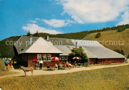 AK / Ansichtskarte Untermuenstertal Almgaststaette Kaelbelescheuer Untermuenstertal