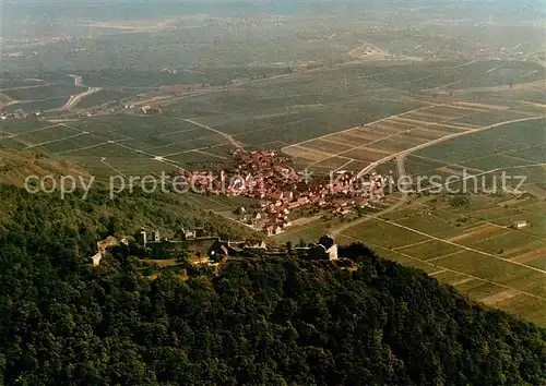 AK / Ansichtskarte Eschbach_Pfalz Madenburg Fliegeraufnahme Eschbach Pfalz