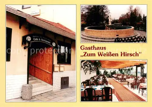 AK / Ansichtskarte Gross_Schoenebeck Gasthaus Zum Weissen Hirsch Brunnen Terrasse Gross Schoenebeck