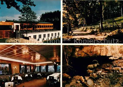 AK / Ansichtskarte Gondorf_Bitburg Waldhaus Eifel Hotel Restaurant am Hochwildschutzpark Gondorf Bitburg