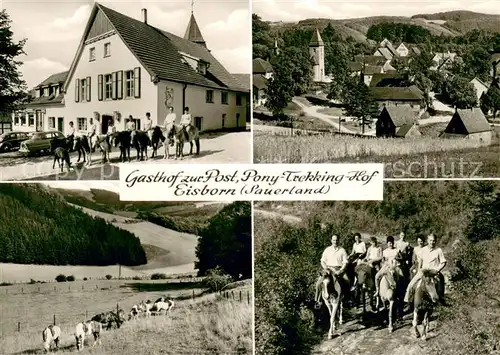 AK / Ansichtskarte Eisborn Gasthof zur Post Pony Trekking Hof Eisborn