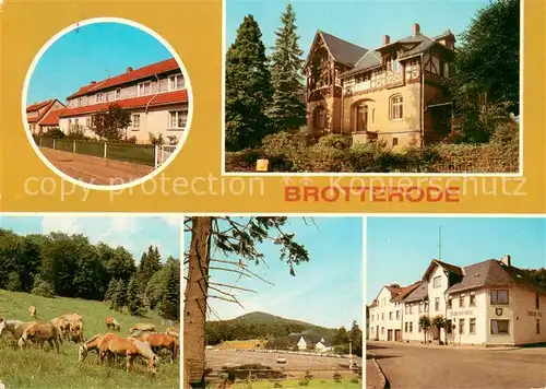 AK / Ansichtskarte Brotterode Siedlerstrasse Jugendherberge Ernst Knaack Haflinger Pferde Grosser Inselsberg Gaststaette Brotterode