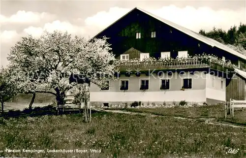 AK / Ansichtskarte Lackenhaeuser_Niederbayern Pension Kempinger Baumbluete Lackenhaeuser Niederbayern