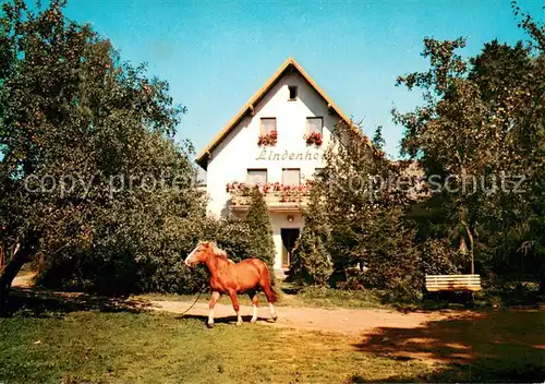 AK / Ansichtskarte Braunetsrieth Restaurant Pension Lindenhof Pferd Braunetsrieth