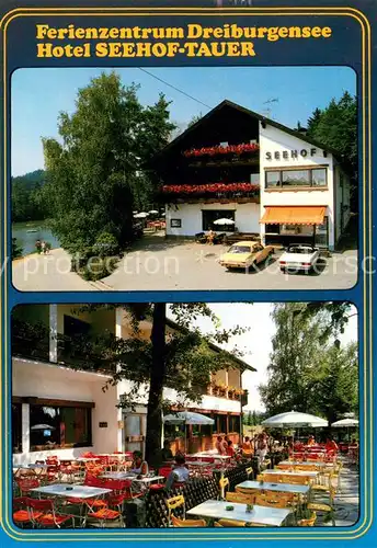 AK / Ansichtskarte Rothau_Dreiburgensee Hotel Seehof Tauer Terrasse 