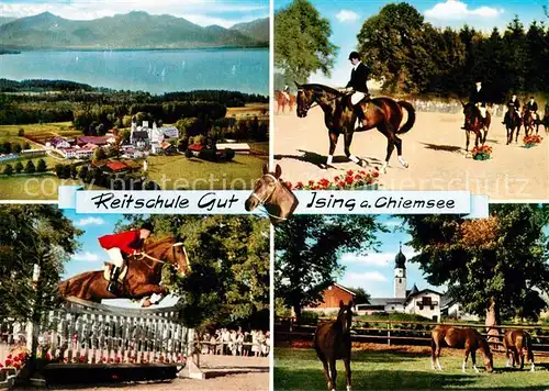 AK / Ansichtskarte Ising_Chiemsee Reitschule Gut Springreiten Dressurpruefung Reitturnier Pferdekoppel Alpenblick Ising Chiemsee