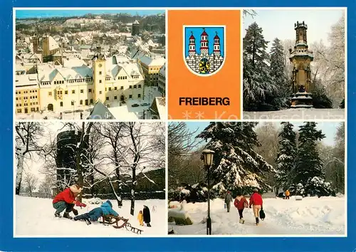 AK / Ansichtskarte Freiberg_Sachsen Panorama Blick vom Petriturm Rathaus Schwedendenkmal Rodelbahn Stadtmauer Scheringerpark Freiberg Sachsen