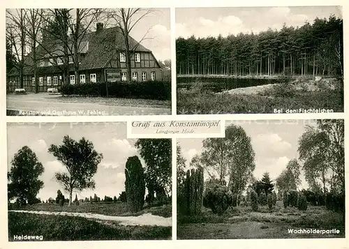 AK / Ansichtskarte Lueneburger_Heide Pension und Gasthaus Fehler Bei den Fischteichen Heideweg Wachholderpartie Lueneburger Heide