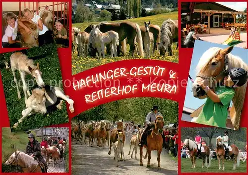 AK / Ansichtskarte Meura Haflinger Gestuet Reiterhof Pferdekoppel Meura