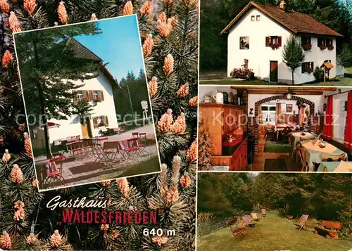 AK / Ansichtskarte Ludwigsthal Gasthaus Pension Waldesfrieden Ludwigsthal