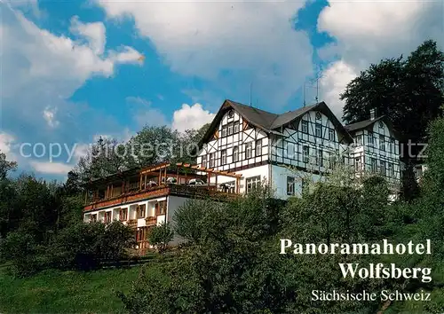 AK / Ansichtskarte Reinhardtsdorf_Bad_Schandau Panoramahotel Wolfsberg Saechsische Schweiz Reinhardtsdorf_Bad