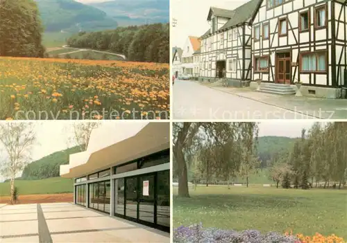 AK / Ansichtskarte Bruchhausen_Hoexter Park am Kurbrunnen Landschaftspanorama Fachwerkhaeuser im Kurort an der Weser Bruchhausen Hoexter