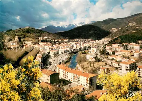 AK / Ansichtskarte Amelie les Bains Palalda Vue generale de la vlle traversee par le Tech Au fond le Canigou Amelie les Bains Palalda