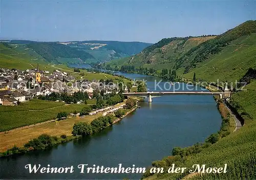 AK / Ansichtskarte Trittenheim_Mosel Moselpartie Fliegeraufnahme Trittenheim Mosel