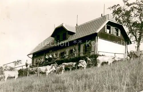 AK / Ansichtskarte Lilienfeld Kloster Hinteralpe Viehweide Kuehe Lilienfeld