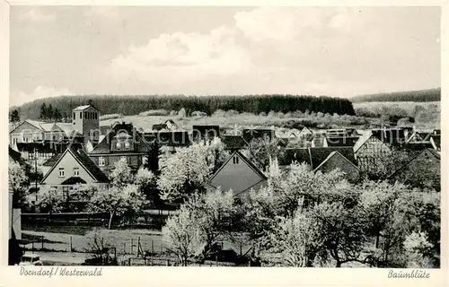 AK / Ansichtskarte Dorndorf_Westerwald Ortsansicht mit Kirche Baumbluete Dorndorf_Westerwald