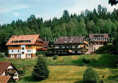 AK / Ansichtskarte Hinterlangenbach_Baiersbronn Forsthaus Auerhahn mit Gaestehaus Katrin Hinterlangenbach