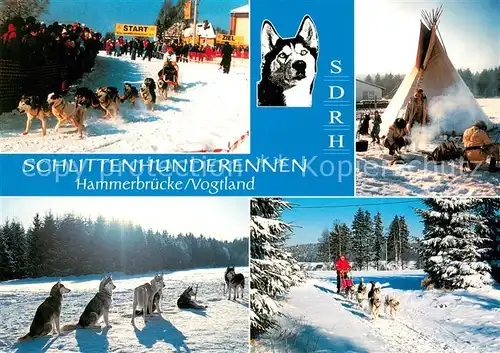 Hammerbruecke Schlittenhunderennen Tipi Schlittenhunde Hammerbruecke