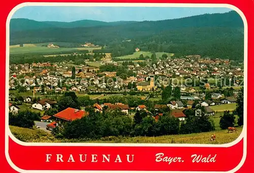 AK / Ansichtskarte Frauenau Panorama Bayerischer Wald Frauenau